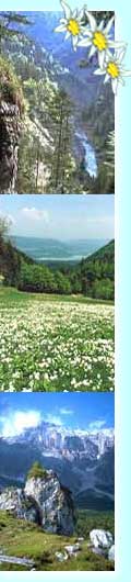 Ferienwohnung Mühlbach Hochkönig Österreich Salzburgerland