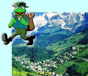 Ferienwohnung am Wolfgangsee in Österreich - traumhafte Lage mitten im Grünen